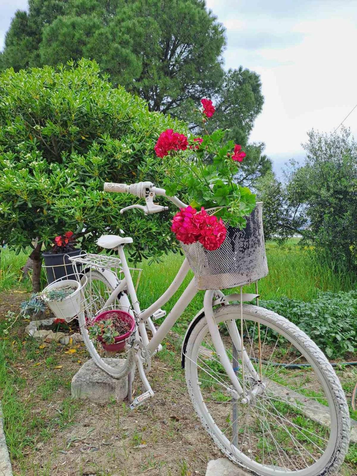 Corfu Lake House Kanoni  Exterior foto